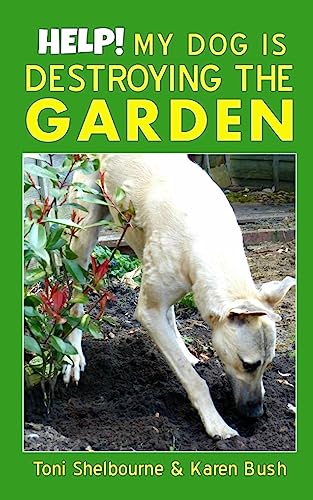 Help! My Dog is Destroying the Garden