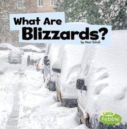 Wicked Weather What are Blizzards?