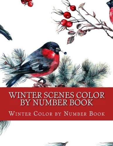 Winter Scenes Color by Number Book : Festive Winter Season, Birds, Clothes and More Easy Designs