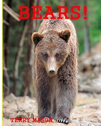 Bears