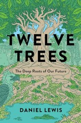 Twelve Trees