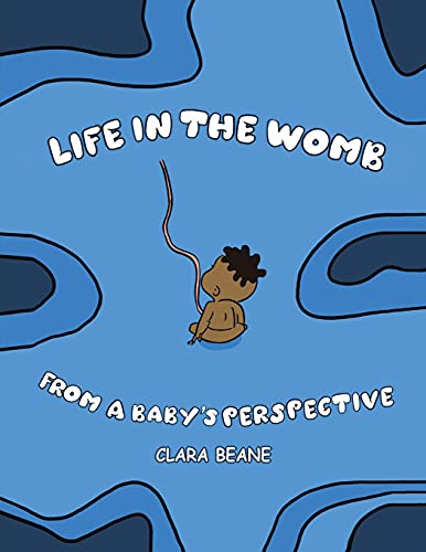 Life in the Womb from a Baby's Perspective