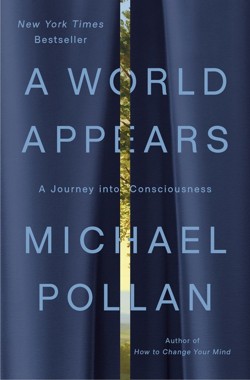 A World Appears