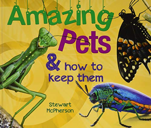 Amazing Pets and how to keep them