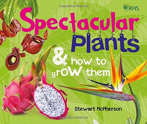 RHS Spectacular Plants and how to grow them