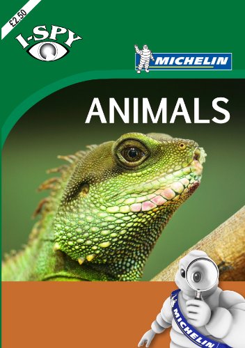 i-SPY Animals