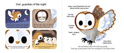 Touch and Explore: Animals at Night
