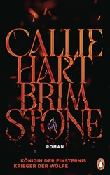 Brimstone - Königin der Finsternis. Krieger der Wölfe: Roman - Die ersehnte Fortsetzung des Romantasy-Bestsellers »Quicksilver«. Aktualisierte Auflage