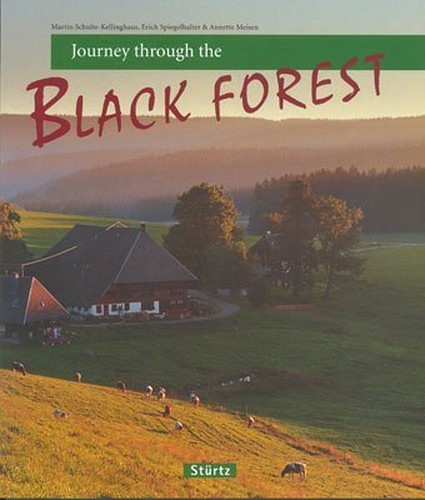 Journey Through the Black Forest
