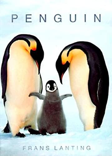 Penguins