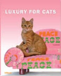 Luxury for Cats