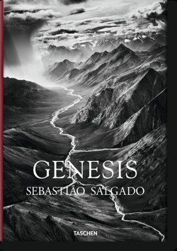 Sebastiao Salgado