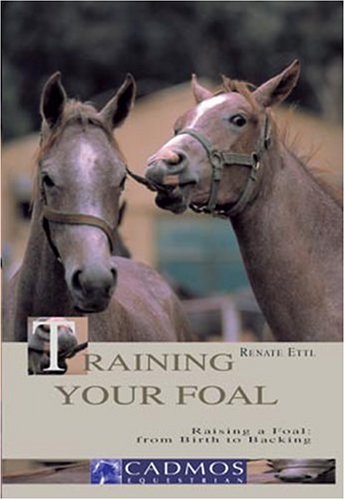 Training Your Foal