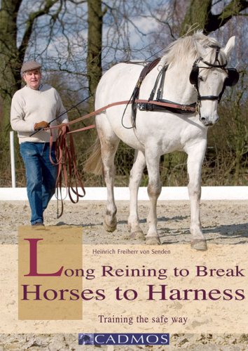Long Reining to Break Horses to Harness