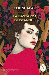 La bastarda di Instanbul