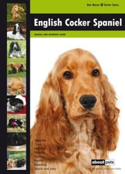English Cocker Spaniel