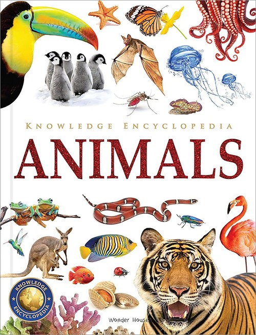 Knowledge Encyclopedia