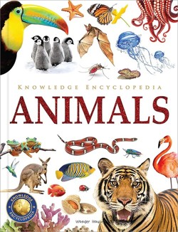 Knowledge Encyclopedia