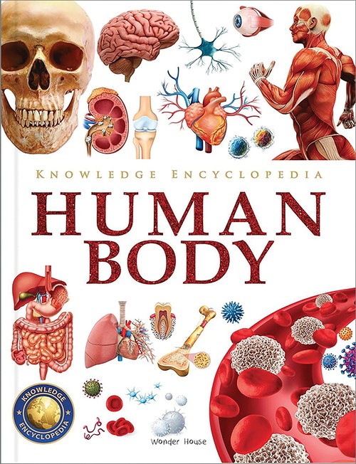 Knowledge Encyclopedia