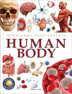 Human Body