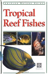 Tropical Reef Fishes