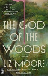 God of the Woods: A Novel