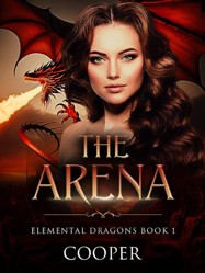 The Arena