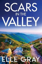 Scars in the Valley