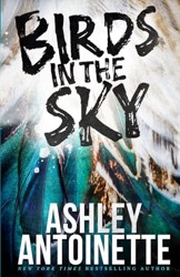 Birds in the Sky