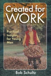 Created For Work: Practical insights for young men