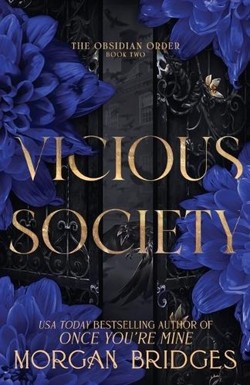 Vicious Society