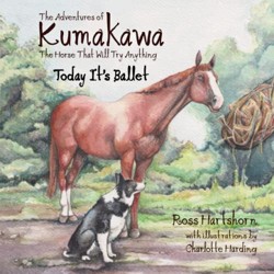 The Adventures of Kumakawa