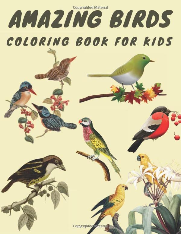 Amazing Birds: Coloring book for Kids learn species and Gift for Girls Boys Activity book 80 Pages of 8.5"x 11" inches soft cover, Matte Finish
