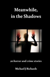 Meanwhile, in the Shadows