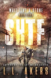 Wait Like a Stone: A Post-Apocalyptic Thriller (The SHTF Series)