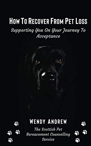 How To Recover From Pet Loss