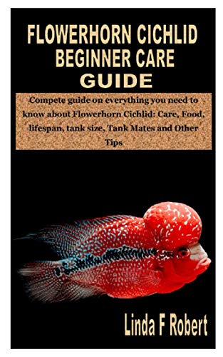 Flowerhorn Cichlid Beginner Care Guide