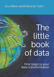 The little book of data: First steps to your data transformation