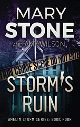 Storm's Ruin