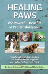 Healing Paws: The Powerful Benefits of Pet Rehabilitation