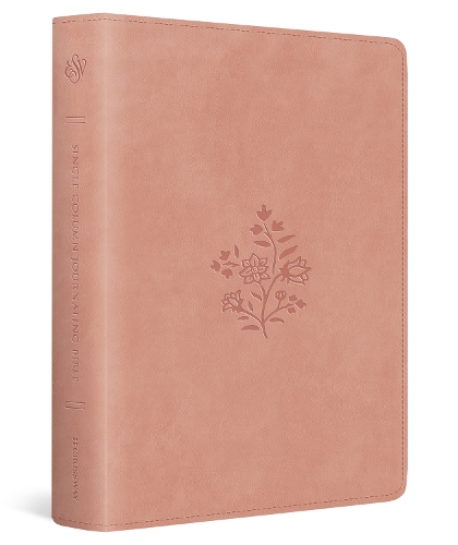 Esv - ESV Single Column Journaling Bible