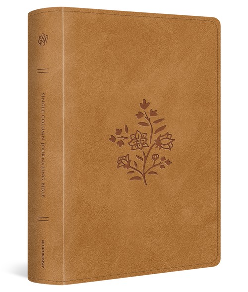 Esv Esv Bibles - ESV Single Column Journaling Bible, Large Print