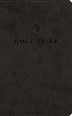 ESV Premium Church Bible, Large Print, Red Letter