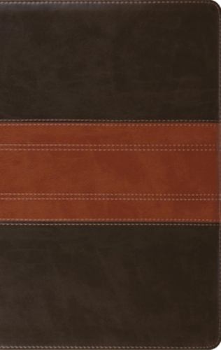 ESV Large Print Personal Size Bible, Red Letter, Thumb Indexed