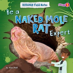 Be a Naked Mole Rat Expert
