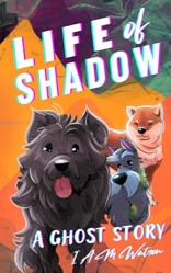 Life of Shadow